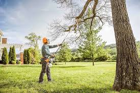 Best Tree Trimming and Pruning  in Palos Verdes Estates, CA